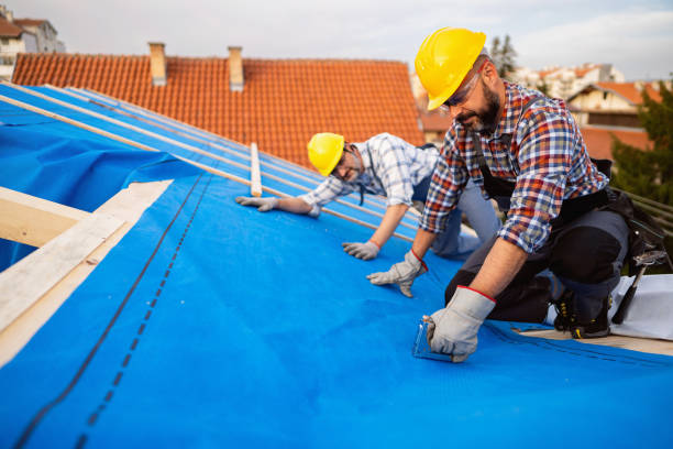 Best Cold Roofs  in Trumansburg, NY