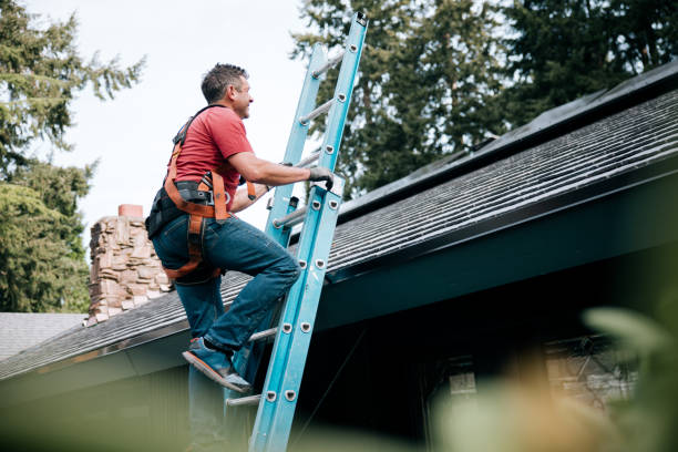 Best Roof Maintenance and Cleaning  in Trumansburg, NY