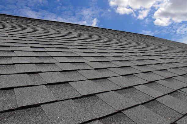 Best Steel Roofing  in Trumansburg, NY