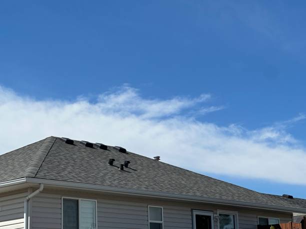 Best Roof Moss and Algae Removal  in Trumansburg, NY